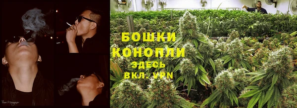 скорость Бородино