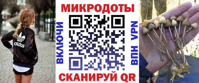 Псилоцибиновые грибы прущие грибы  Белебей 