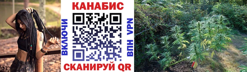 где купить   Белебей  Бошки Шишки OG Kush 